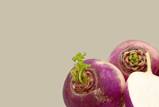 Purple-Top White Turnip