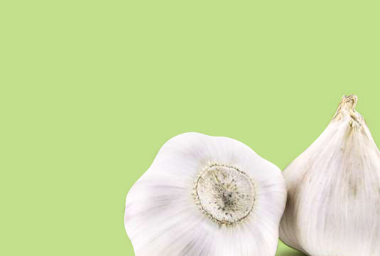 Garlic and garlic flower